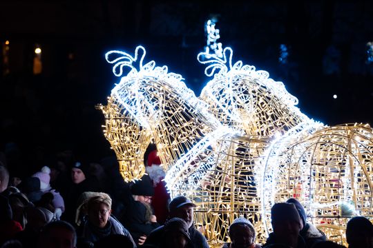 Rozświetlamy Radom (zdjęcia) Rozświetlamy Radom (zdjęcia)