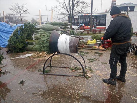Sprzedaż choinek przy ulicy Wernera w Radomiu