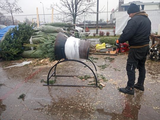 Sprzedaż choinek przy ulicy Wernera w Radomiu Sprzedaż choinek przy ulicy Wernera w Radomiu