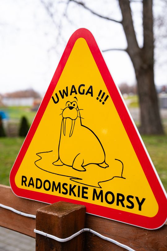 Bieg morsa oraz morsowanie nad zalewem Borki (zdjęcia) Bieg morsa oraz morsowanie nad zalewem Borki (zdjęcia)