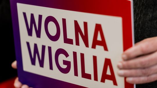 Konferencja Nowej Lewicy (zdjęcia) Konferencja Nowej Lewicy (zdjęcia)