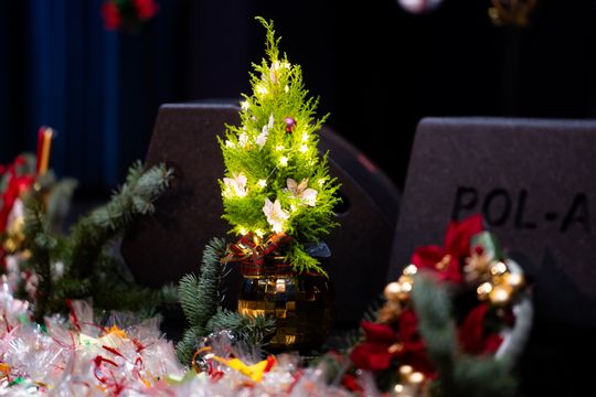 Spotkanie opłatkowe stowarzyszenia Radomski Uniwersytet Trzeciego Wieku (zdjęcia)