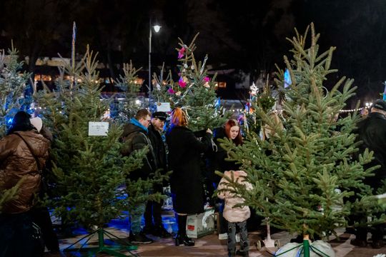 Jarmark Świąteczny i Gwiazdka dla mieszkańców 041.jpg