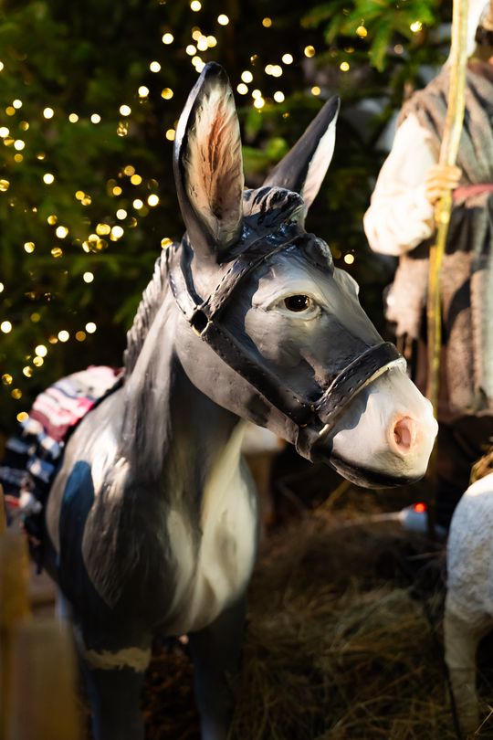 Szopki Bożonarodzeniowe w wybranych radomskich kościołach (zdjęcia)