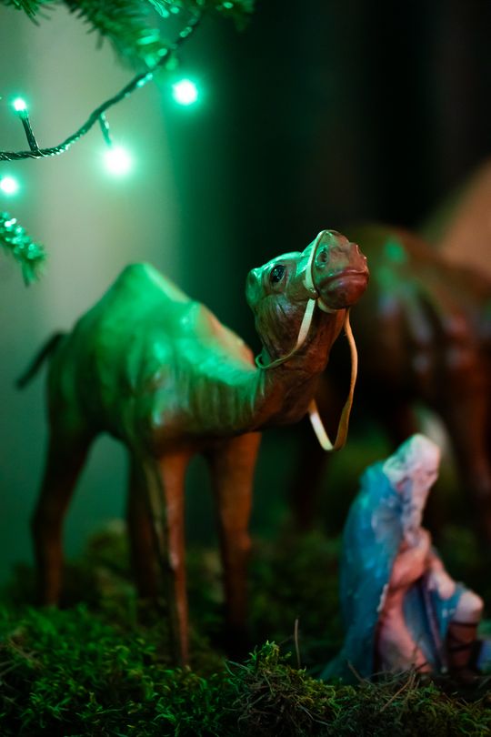 Szopki Bożonarodzeniowe w wybranych radomskich kościołach (zdjęcia)