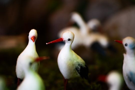 Szopki Bożonarodzeniowe w wybranych radomskich kościołach (zdjęcia)