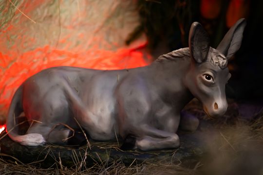 Szopki Bożonarodzeniowe w wybranych radomskich kościołach (zdjęcia)