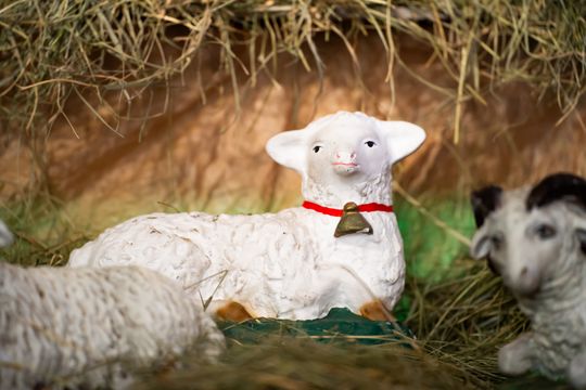 Szopki Bożonarodzeniowe w wybranych radomskich kościołach (zdjęcia)