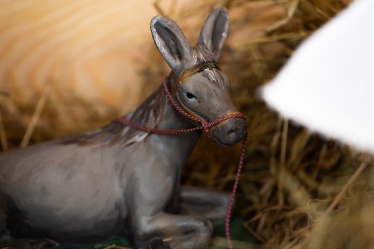 Szopki Bożonarodzeniowe w wybranych radomskich kościołach (zdjęcia)