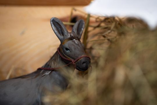 Szopki Bożonarodzeniowe w wybranych radomskich kościołach (zdjęcia)