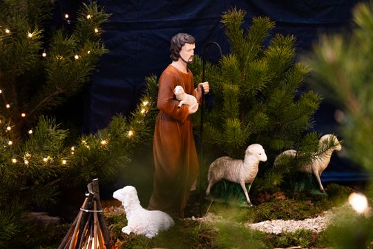 Szopki Bożonarodzeniowe w wybranych radomskich kościołach (zdjęcia)