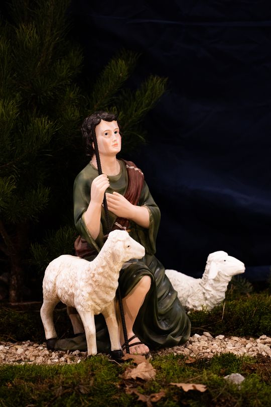 Szopki Bożonarodzeniowe w wybranych radomskich kościołach (zdjęcia)