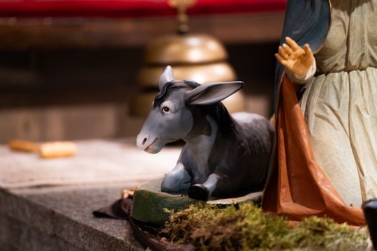 Szopki Bożonarodzeniowe w wybranych radomskich kościołach (zdjęcia)