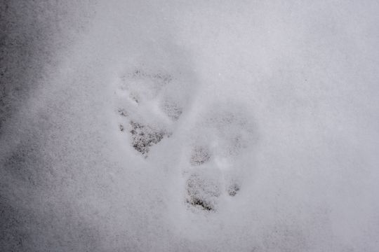 Zima 002.jpg Zima 002.jpg