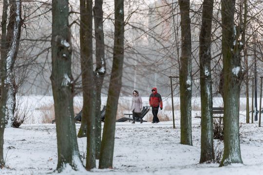 Zima 020.jpg Zima 020.jpg