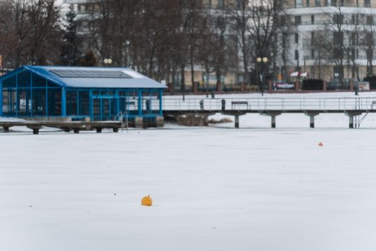 Zima 027.jpg Zima 027.jpg