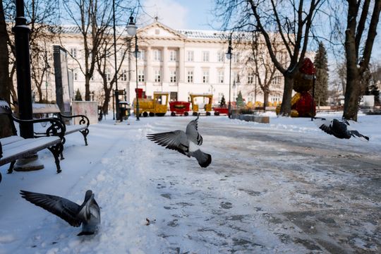 Zima 065.jpg Zima 065.jpg