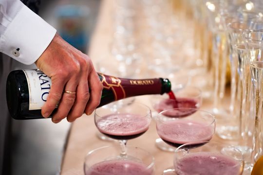 Koncert Sylwestrowy w Radomskiej Orkiestrze Kameralnej (zdjęcia)