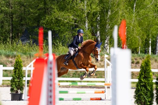 foto przegląd (24).JPG