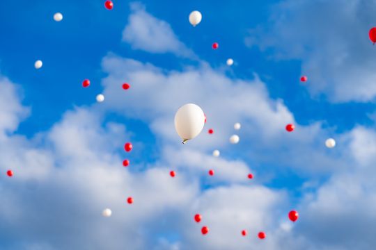 foto przegląd (48).JPG foto przegląd (48).JPG