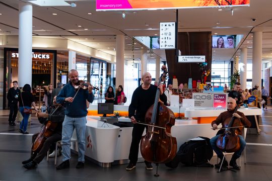 foto przegląd (68).JPG