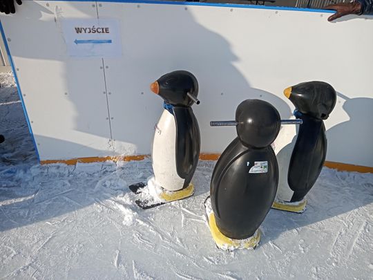 Ferie na lodowisku MOSiR w Radomiu