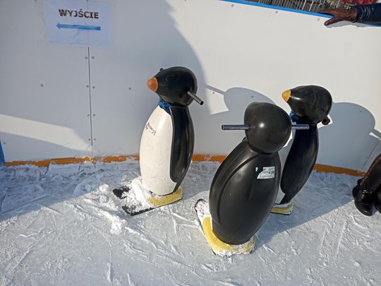 Ferie na lodowisku MOSiR w Radomiu