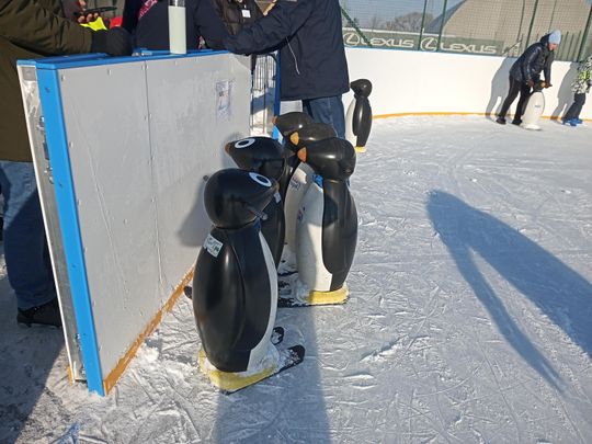 Ferie na lodowisku MOSiR w Radomiu
