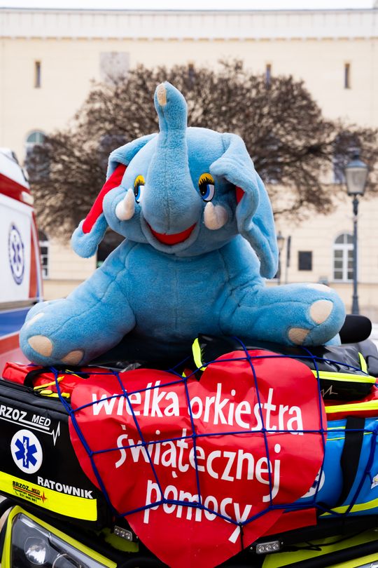 WOŚP Radom 2026 - wolontariusze i sztab (zdjęcia)