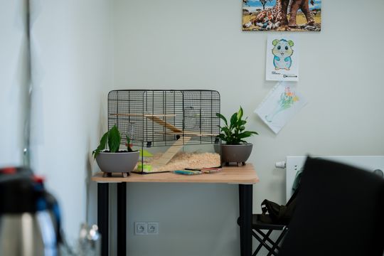 Uroczyste otwarcie Środowiskowego Domu Pomocy w Szydłowcu (zdjęcia)