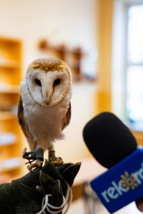 ,,Co w lesie huczy,, - pokaz i lekcja z sokolnikami w Liceum Czachowskiego w Radomiu ( zdjęcia)