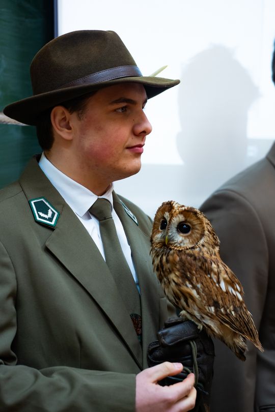 ,,Co w lesie huczy,, - pokaz i lekcja z sokolnikami w Liceum Czachowskiego w Radomiu ( zdjęcia)