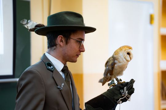 ,,Co w lesie huczy,, - pokaz i lekcja z sokolnikami w Liceum Czachowskiego w Radomiu ( zdjęcia)