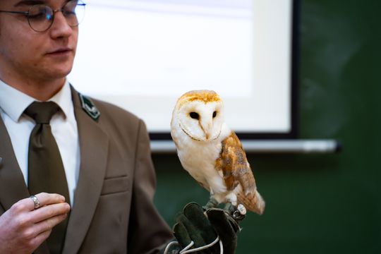 ,,Co w lesie huczy,, - pokaz i lekcja z sokolnikami w Liceum Czachowskiego w Radomiu ( zdjęcia)