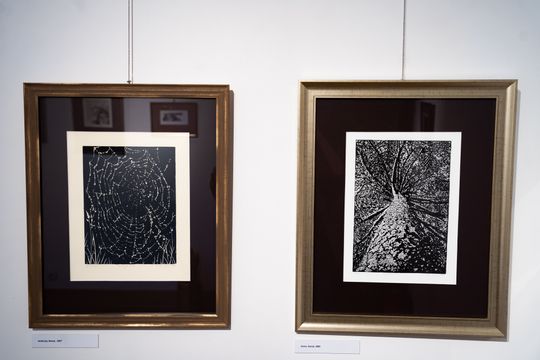 Wernisaż wystawy i koncert muzyki filmowej w Muzeum im. Oskara Kolberka w Przysusze (zdjęcia)