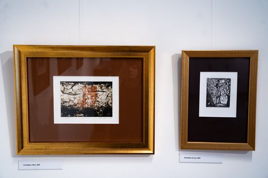 Wernisaż wystawy i koncert muzyki filmowej w Muzeum im. Oskara Kolberka w Przysusze (zdjęcia)