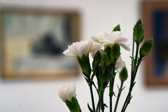 Wernisaż wystawy i koncert muzyki filmowej w Muzeum im. Oskara Kolberka w Przysusze (zdjęcia)