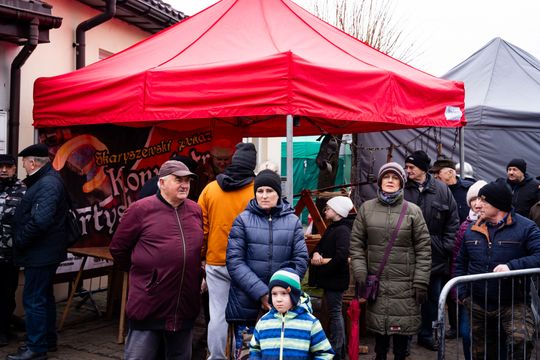 Skaryszewski jarmark koński "Wstępy" (zdjęcia)