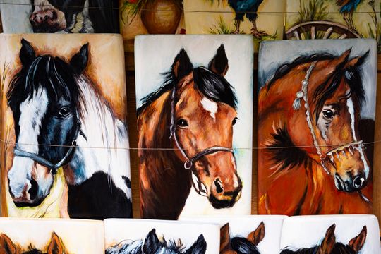 Skaryszewski jarmark koński "Wstępy" (zdjęcia)