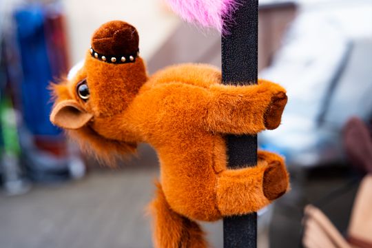 Skaryszewski jarmark koński "Wstępy" (zdjęcia)