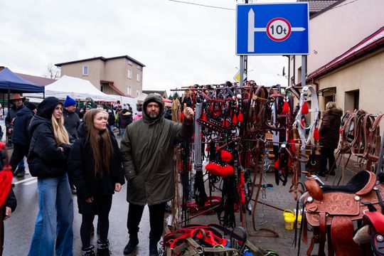 Skaryszewski jarmark koński "Wstępy" (zdjęcia)