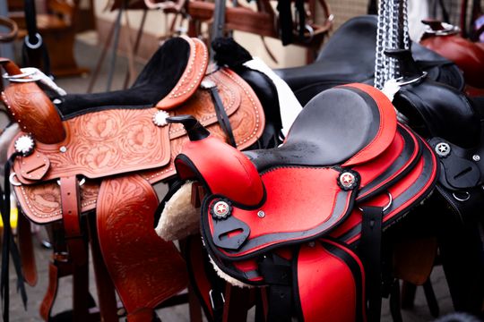 Skaryszewski jarmark koński "Wstępy" (zdjęcia)