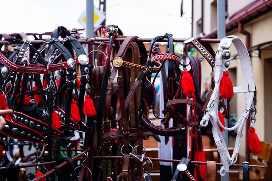 Skaryszewski jarmark koński "Wstępy" (zdjęcia)