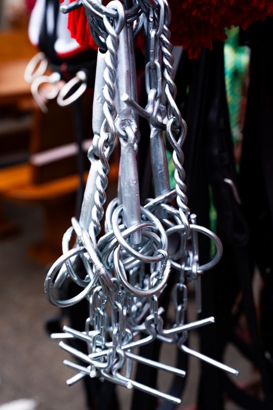 Skaryszewski jarmark koński "Wstępy" (zdjęcia)