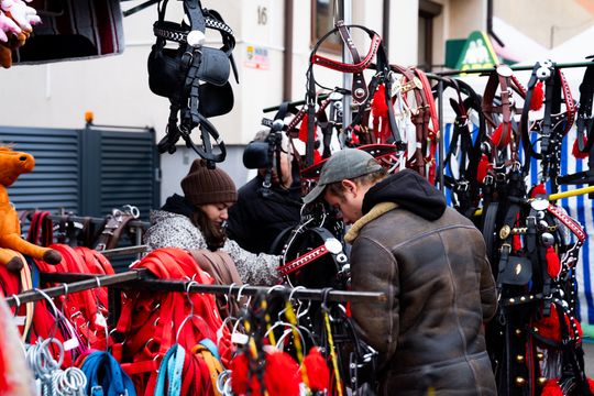 Skaryszewski jarmark koński "Wstępy" (zdjęcia)