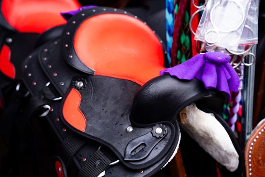 Skaryszewski jarmark koński "Wstępy" (zdjęcia)