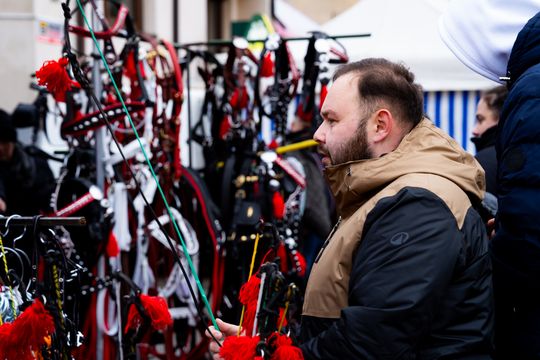 Skaryszewski jarmark koński "Wstępy" (zdjęcia)