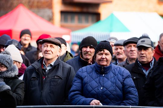 Skaryszewski jarmark koński "Wstępy" (zdjęcia)