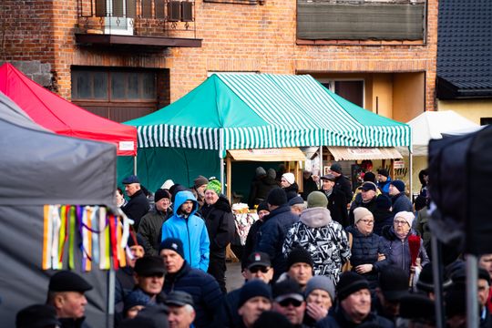 Skaryszewski jarmark koński "Wstępy" (zdjęcia)