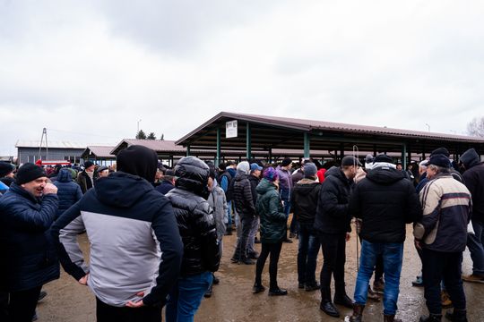 Skaryszewski jarmark koński "Wstępy" (zdjęcia)